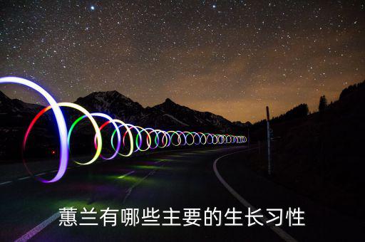 山東建蘭怎么樣,荷蘭蘆葦頭雖小根系發達抗逆性強易栽培