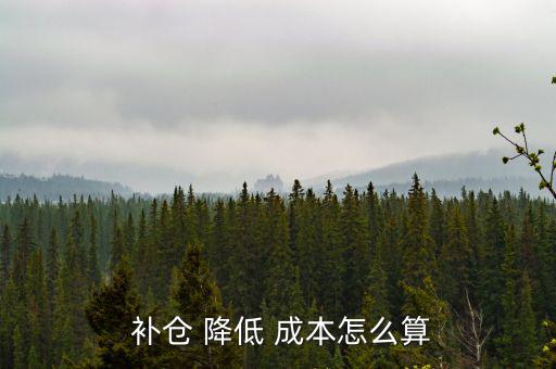 補倉成本怎么能降低,股市動態分析
