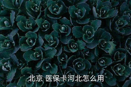  北京 醫保卡河北怎么用