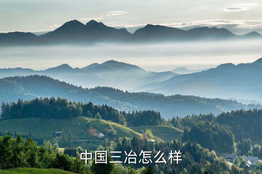 北滿特鋼怎么樣,東北特鋼集團入選中國企業十大新聞