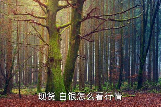現貨 白銀怎么看行情
