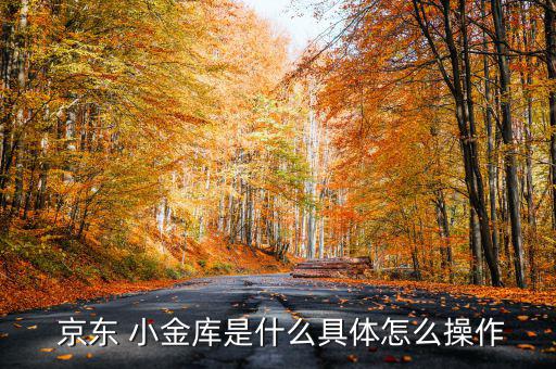 京東小金庫怎么買,京東小金庫理財產品落地京東網銀錢包