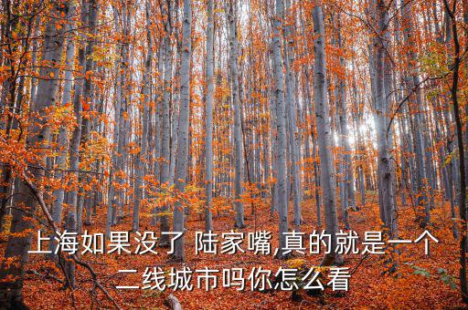 陸家嘴怎么讀,上海陸家嘴金融貿易區商業設施以金融中心為主