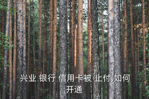  興業 銀行 信用卡被 止付,如何開通