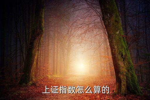  上證指數怎么算的
