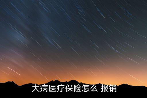  大病醫療保險怎么 報銷