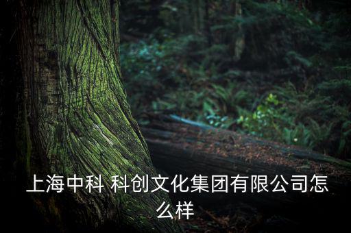  上海中科 科創文化集團有限公司怎么樣