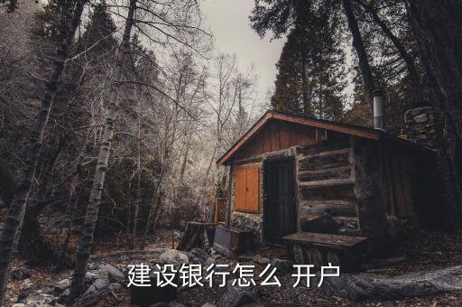 建設銀行怎樣開戶怎么收費,建行開通網銀收費與電銀版相關服務