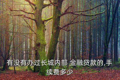 有沒有辦過長城內部 金融貸款的,手續費多少