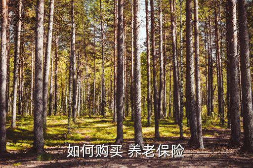 怎么買養老保險,如何投資養老保險?
