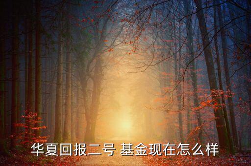 華夏回報二號 基金現在怎么樣