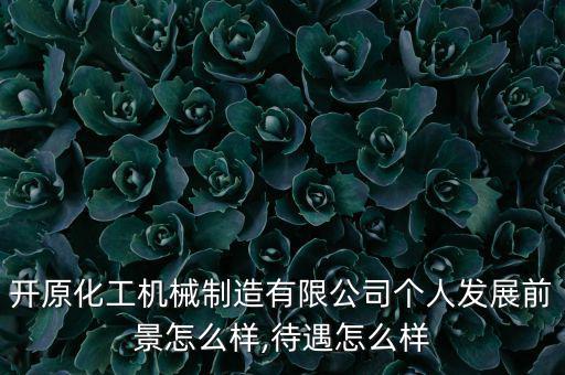 開原化工機械制造有限公司個人發展前景怎么樣,待遇怎么樣