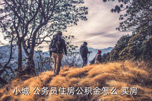 廣州公務員怎么買房,小鎮公務員或通過住房公積金貸款買房