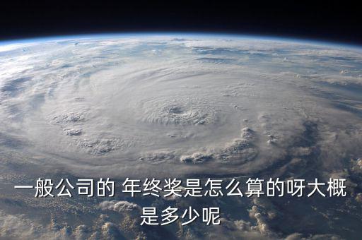 中化石油年終獎怎么算,年終獎是否發放以公司規定為準?
