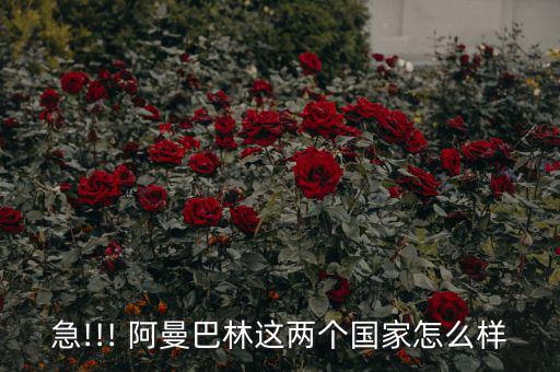 阿曼經濟怎么樣,阿曼人口比阿林多土地面積要小得多