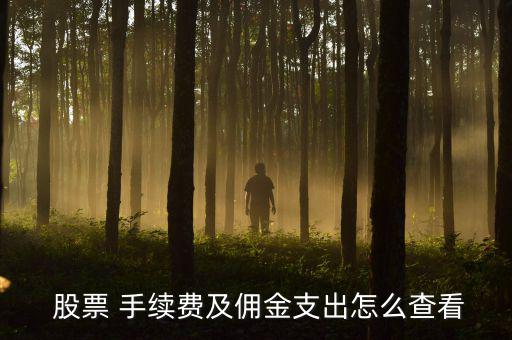  股票 手續費及傭金支出怎么查看