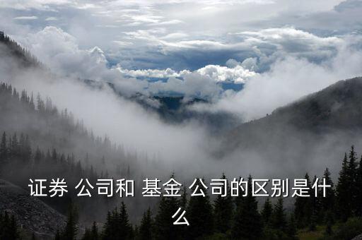 怎么樣區別基金公司,基金公司和證券公司的區別