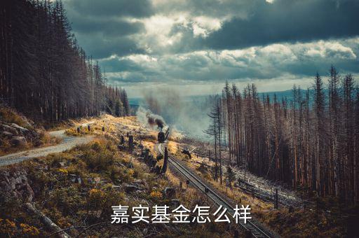 嘉實企業變革怎么樣,嘉實本基金不是國有企業