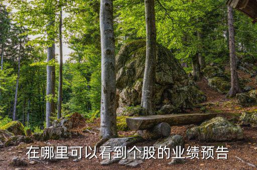 查股網怎么樣,周五開盤可關注國泰證券股票交易所系統