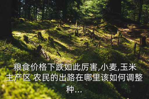  糧食價格下跌如此厲害,小麥,玉米主產區 農民的出路在哪里該如何調整種...