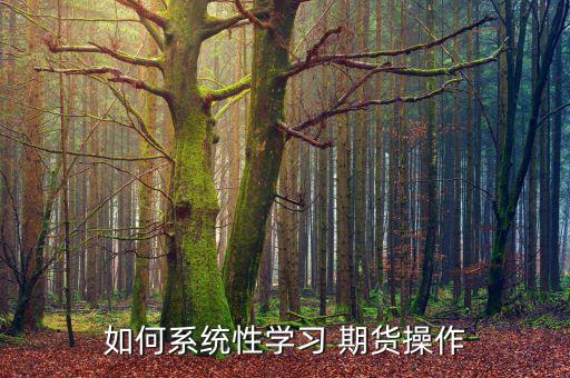 如何系統性學習 期貨操作