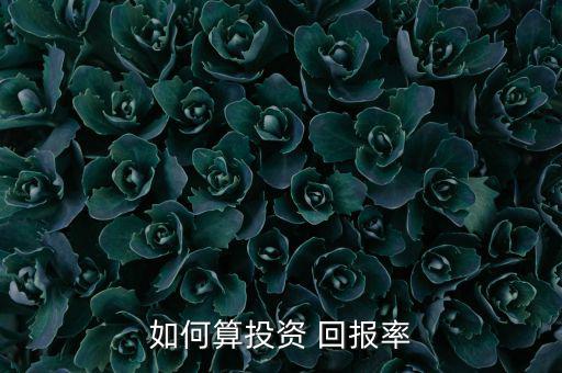 足球魔方回報率怎么算,投資回報率(roi)優點是計算簡單