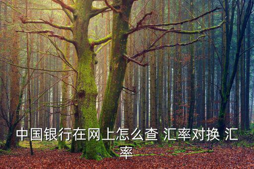 怎么查過去的匯率,匯豐銀行烏節路分行發生匯率大幅波動