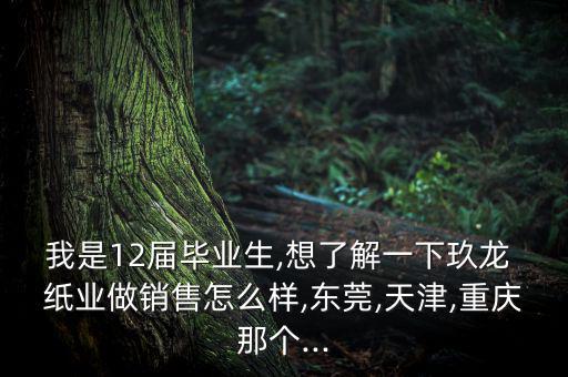 寧河玖龍紙業怎么樣,堅毅向前預算案