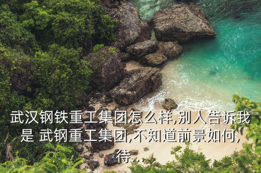 武鋼現在怎么樣,黃金最受歡迎的礦業公司排名第25位