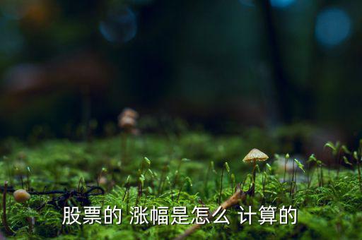 怎么計算漲幅,漲跌幅怎么算?大盤指數和股票是一樣的