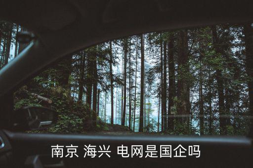 海興電網怎么樣,投資電力行業不會死國企