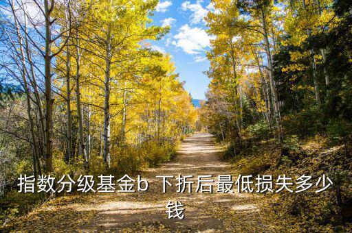 指數分級基金b 下折后最低損失多少錢
