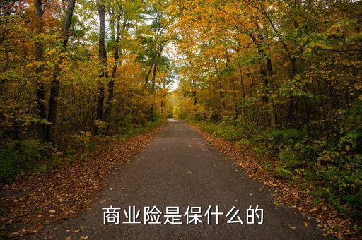  商業險是保什么的