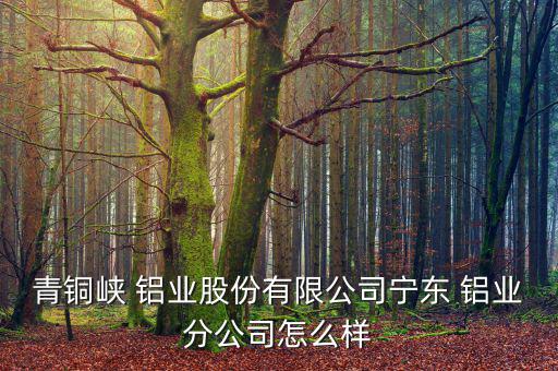 青銅峽 鋁業股份有限公司寧東 鋁業分公司怎么樣