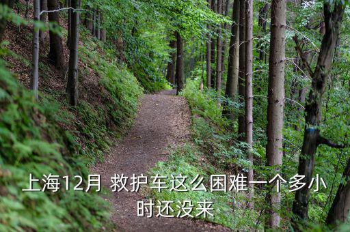 怎么擴大救護車業務,如何申請120救護車?!