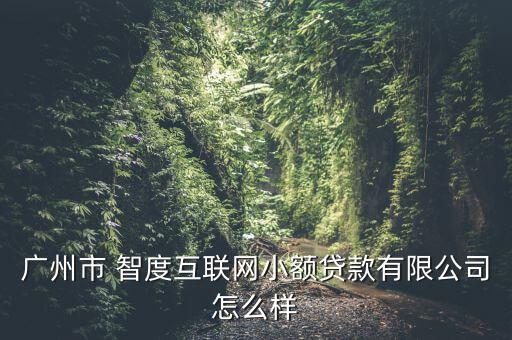 廣州市 智度互聯網小額貸款有限公司怎么樣