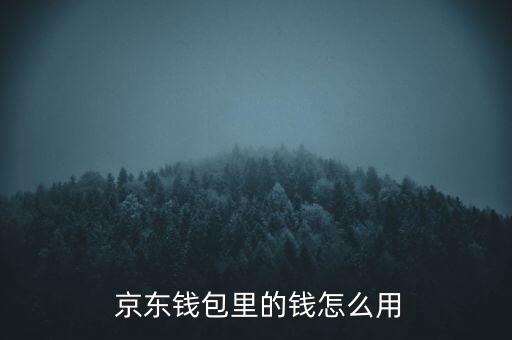 京東怎么使用網銀錢包,中國新增11起病例全由境外輸入
