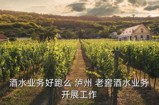 瀘州老窖怎么開,國窖1573-1老窖專賣店開業
