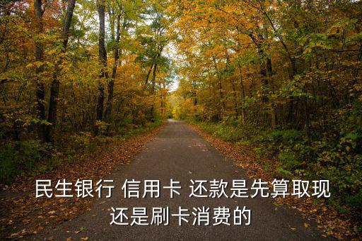  民生銀行 信用卡 還款是先算取現還是刷卡消費的