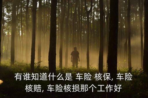 車(chē)險(xiǎn)核保怎么樣,保險(xiǎn)公司如何核保
