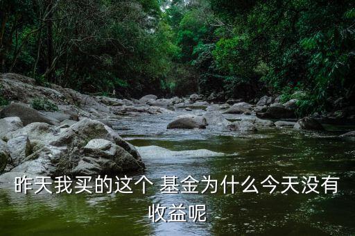 今天基金怎么沒開盤,基金交易規則:如何在周五前買入?