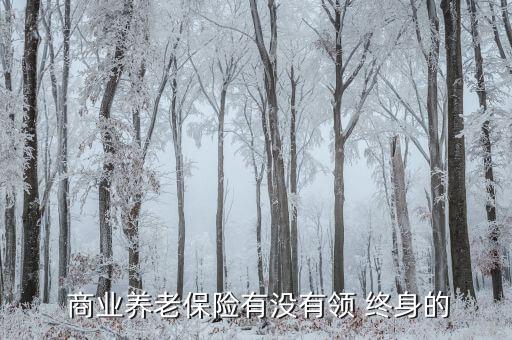 終身商業保險怎么看,買商業保險注意事項一文讀懂