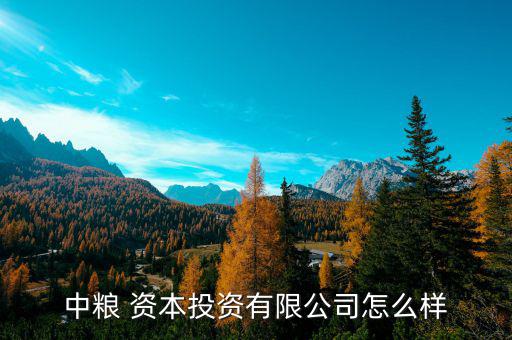 投中資本怎么樣,中糧資本投資有限公司目前處于開業狀態
