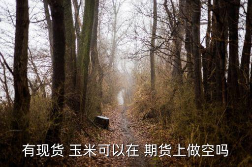 有現貨 玉米可以在 期貨上做空嗎