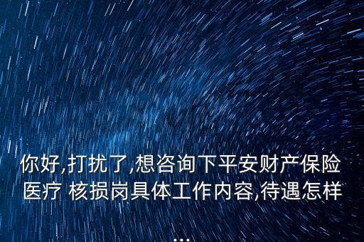 你好,打擾了,想咨詢下平安財產保險醫療 核損崗具體工作內容,待遇怎樣...