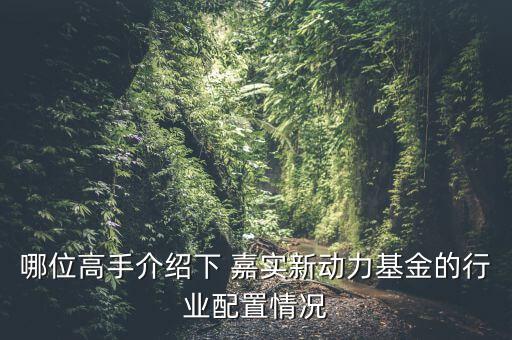嘉實新興產業怎么樣,嘉實新興產業開放式基金招募說明書