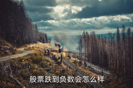  股票跌到負數會怎么樣