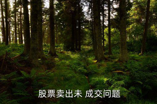 股票未成交怎么辦,網上賣股票今天沒有成交明天會有嗎?