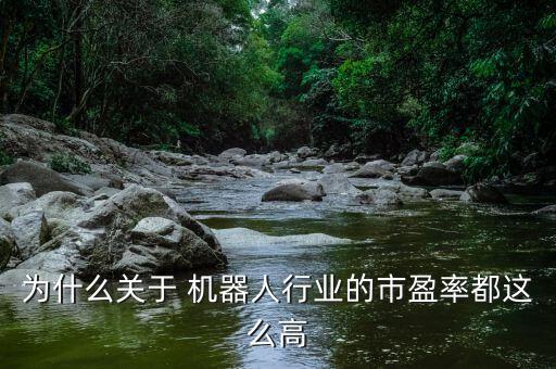 機器人怎么踏準盈利,人工智能取代很多職業機器人取代了嗎?