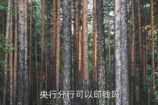 央行怎么印鈔,現行外匯體制下央行貨幣發行較被動
